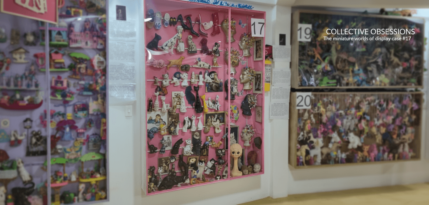 ¿Qué experiencia te espera cuando entras a un lugar donde el mundo entero cabe?